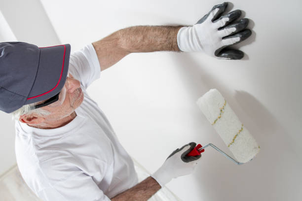 Best Mold Prevention Services  in Mianna, AR