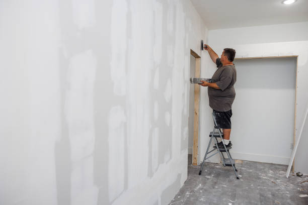 Best Basement Mold Removal  in Mianna, AR
