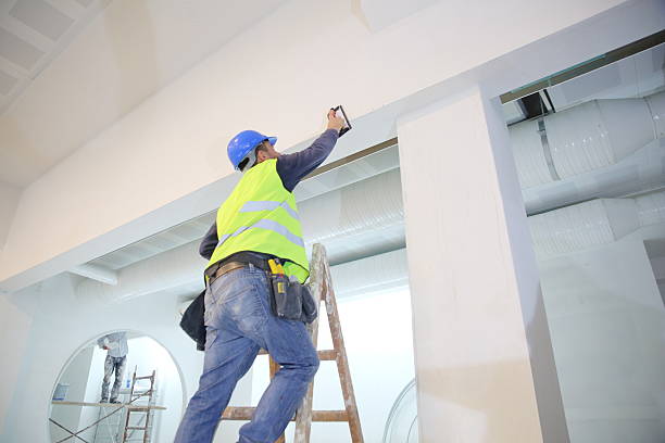 Best Asbestos and Lead Testing During Mold Inspection  in Mianna, AR